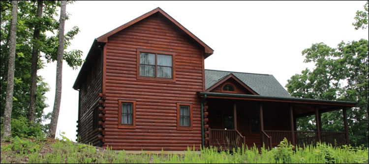 Professional Log Home Borate Application  Waynesboro City, Virginia